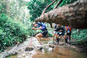 BIB: 
                            <button type="button" onclick="openModal(25372216)" class="btn btn-primary btn-sm float-right btn-popup" data-toggle="modal" data-target=".modal-high-quality">
                        <i class="fas fa-shopping-cart"></i> Add to Cart
                    </button>
                                            <button type="button" onclick="isThisMe(25372216, true)" class="btn btn-success btn-sm float-right btn-popup btn-isme hidden" data-toggle="tooltip" data-placement="bottom" title="นี่คือรูปของคุณใช่ไหม คลิกที่นี่เพื่อเอาเข้าอัลบั้ม">
                        <i class="fas fa-plus"></i> Add to album
                    </button>
                    <button type="button" onclick="isThisMe(25372216, false)" class="btn btn-warning btn-sm float-right btn-popup btn-isnotme hidden">
                        <i class="fas fa-ban"></i> Remove from album
                    </button>